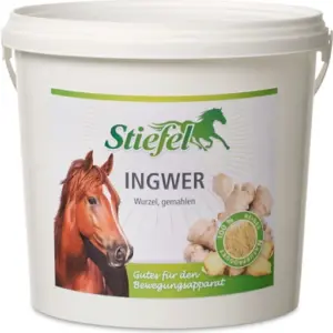 Ginger, ground 1 KG Stiefel