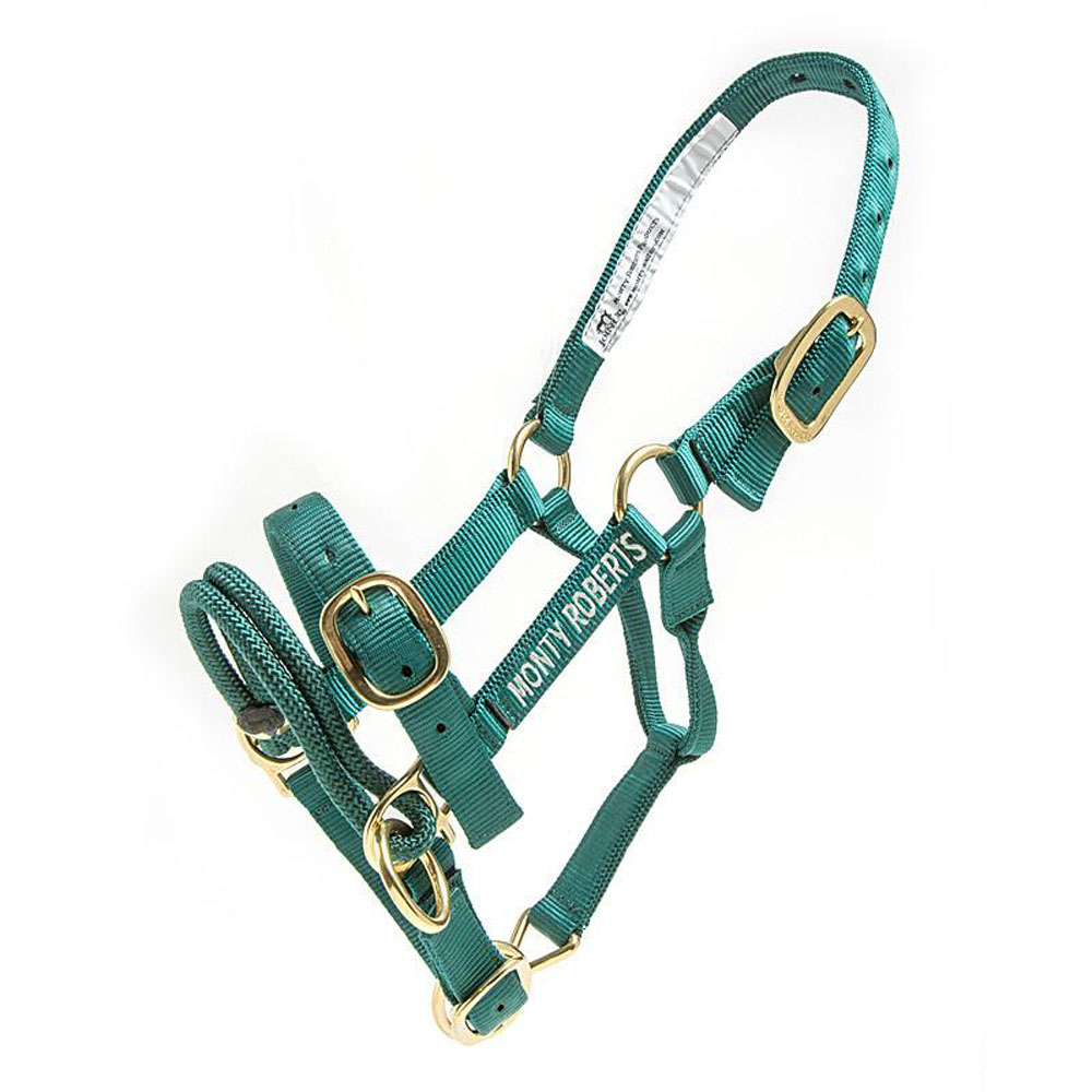 DUALLY TRAINING HALTER GREEN EXTRA SMALL Monty Roberts
